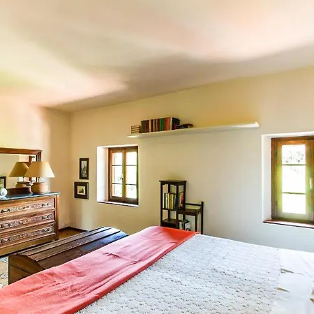 Pet Friendly In